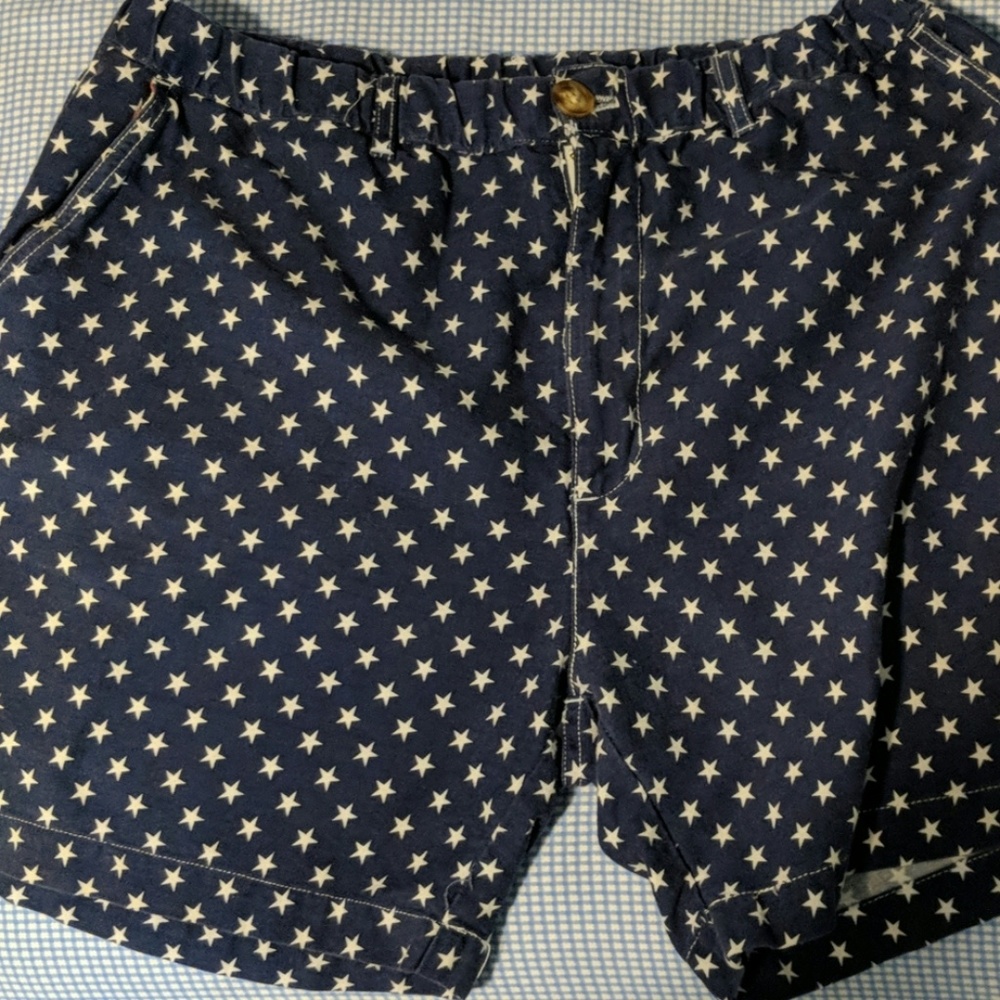 Chubbies Men's Original Stretch Shorts